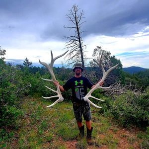 Meet your Posher, Josh